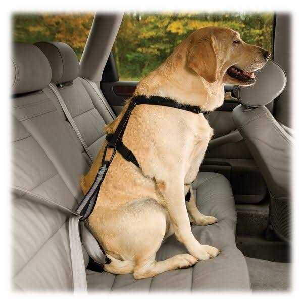 Kurgo Seat Belt Tether with Carabiner - Healthber