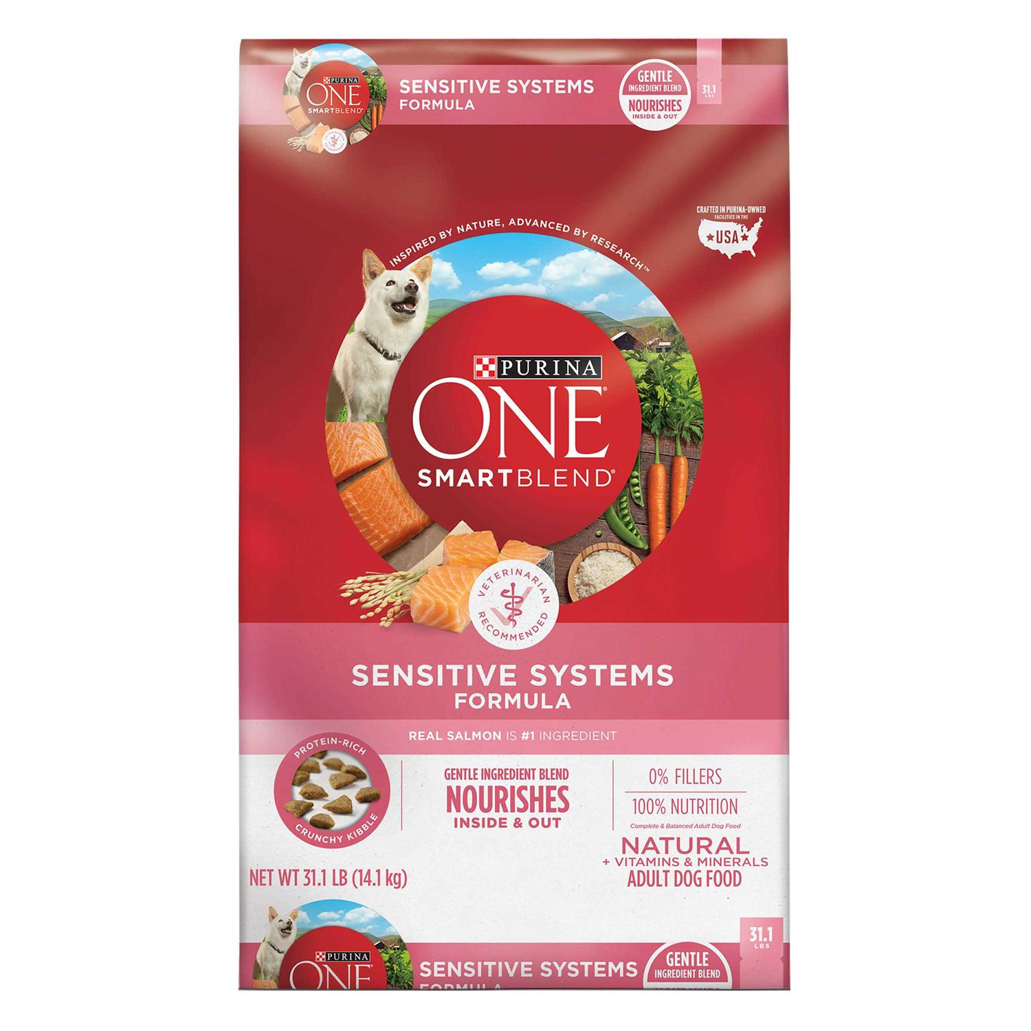 Purina ONE +Plus Skin & Coat Formula Dry Dog Food - Healthber