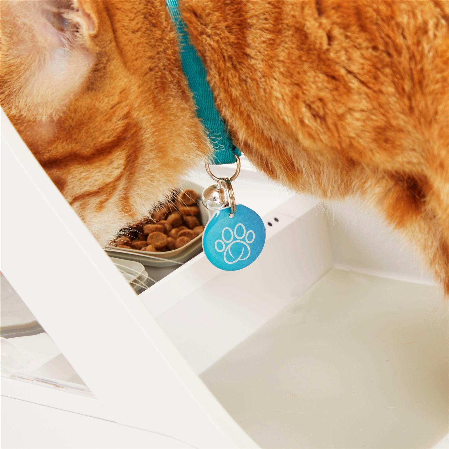 Sure Petcare SureFeed Microchip Pet Feeder Connect - Healthber