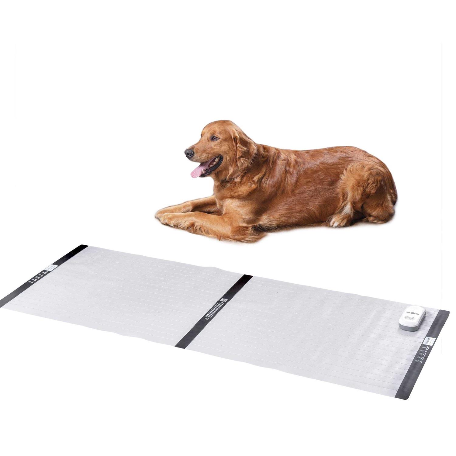 SVD.PET Electronic Training Mat - Healthber
