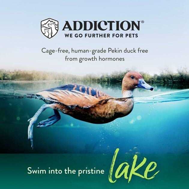Addiction Grain-Free Duck Royale Dry Cat Food - Healthber