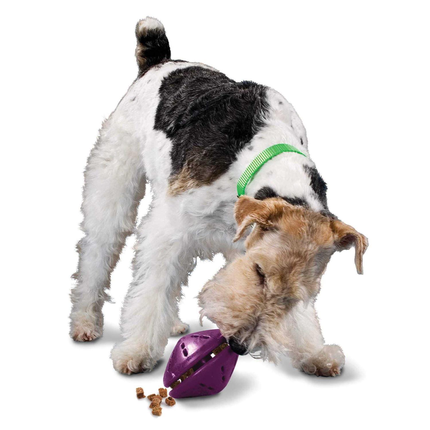PetSafe Busy Buddy Twist n Treat Dog Toy - Healthber
