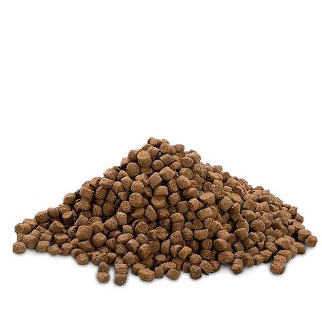 Bully Max 24/14 High Protein & Growth Puppy Food - Healthber
