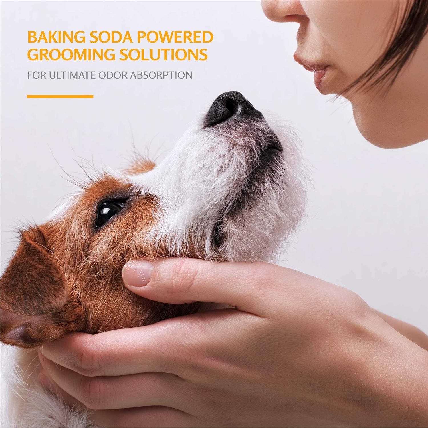Arm & Hammer for Pets Super Deodorizing Shampoo for Dogs Best Odor Eliminating Dog Shampoo - Healthber