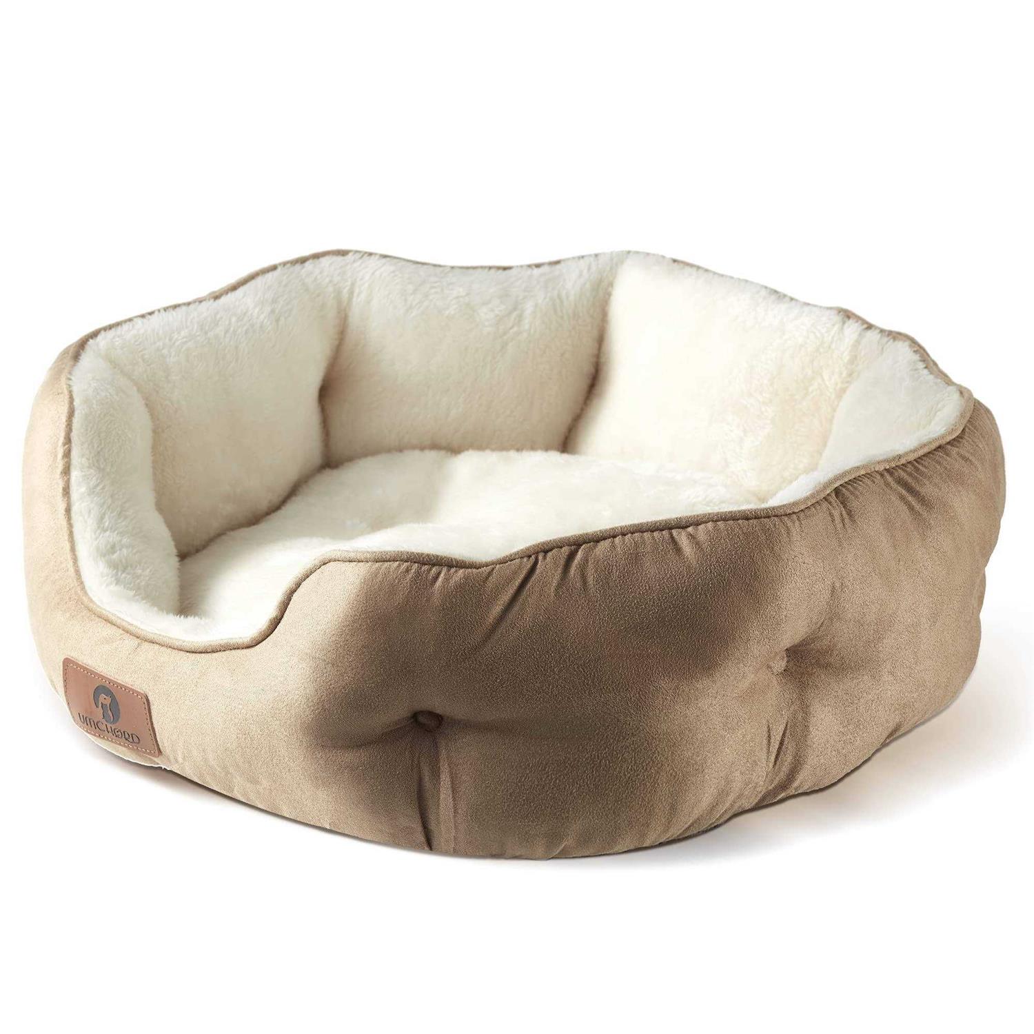 Asvin Small Dog Bed for Small Dogs, Cat Beds for Indoor Cats, Pet Bed for Puppy and Kitty - Healthber