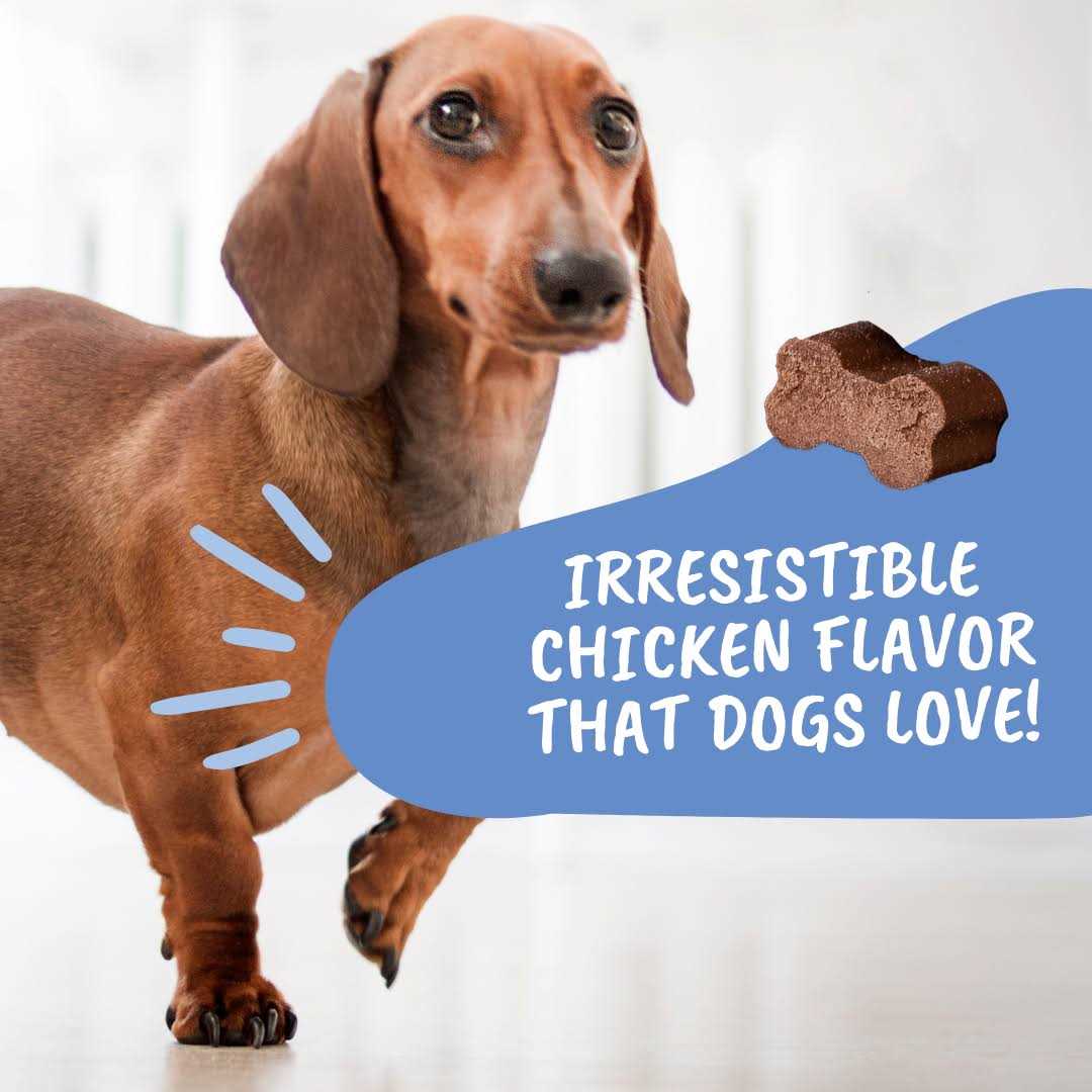 Under the Weather IVDD Dog Supplement, Disc and Spine Relief for Dogs - Healthber