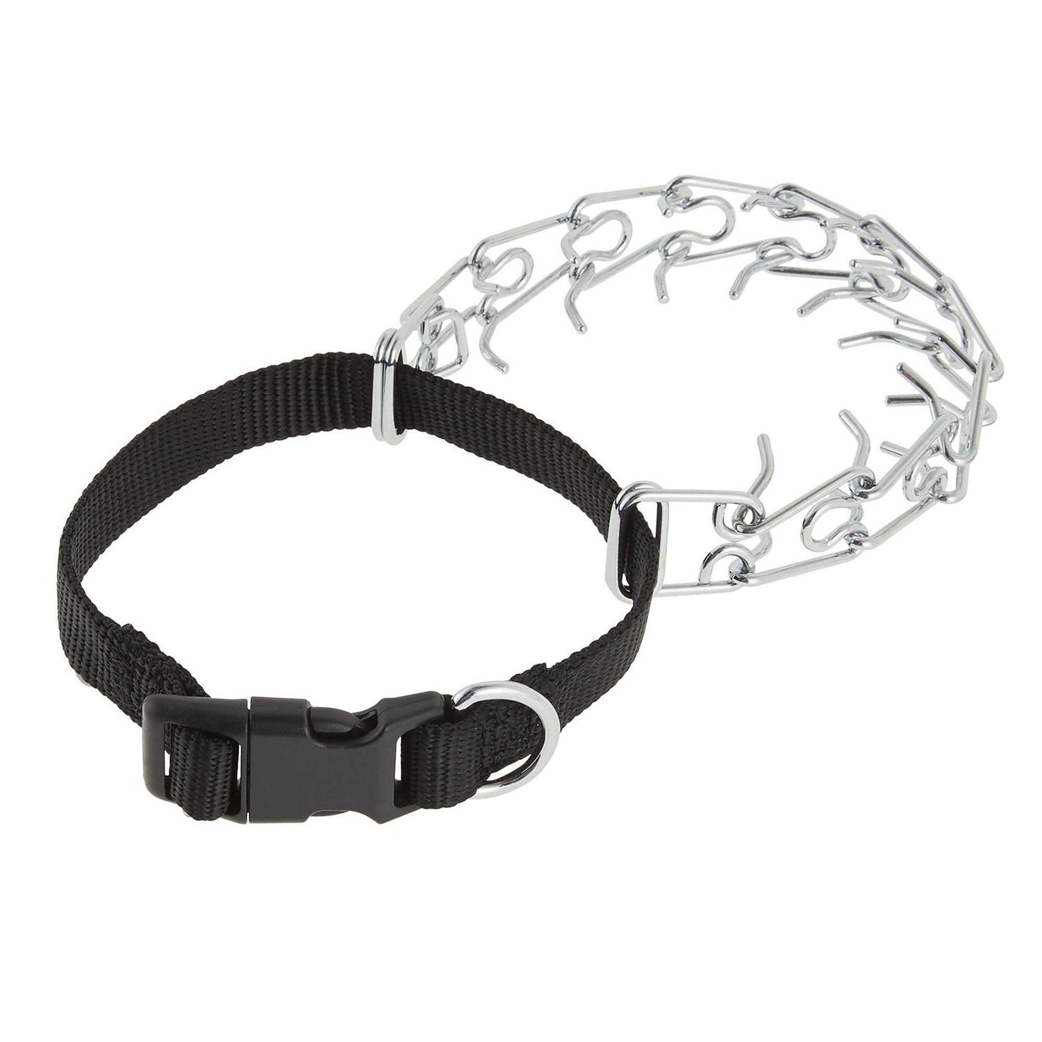 Top Paw Buckle Prong Training Dog Collar - Healthber