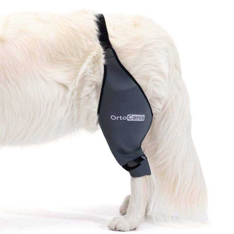 Ortocanis Knee Brace for Dogs with Cruciate Ligament Injuries, Patella Dislocation or Osteoarthritis - Healthber