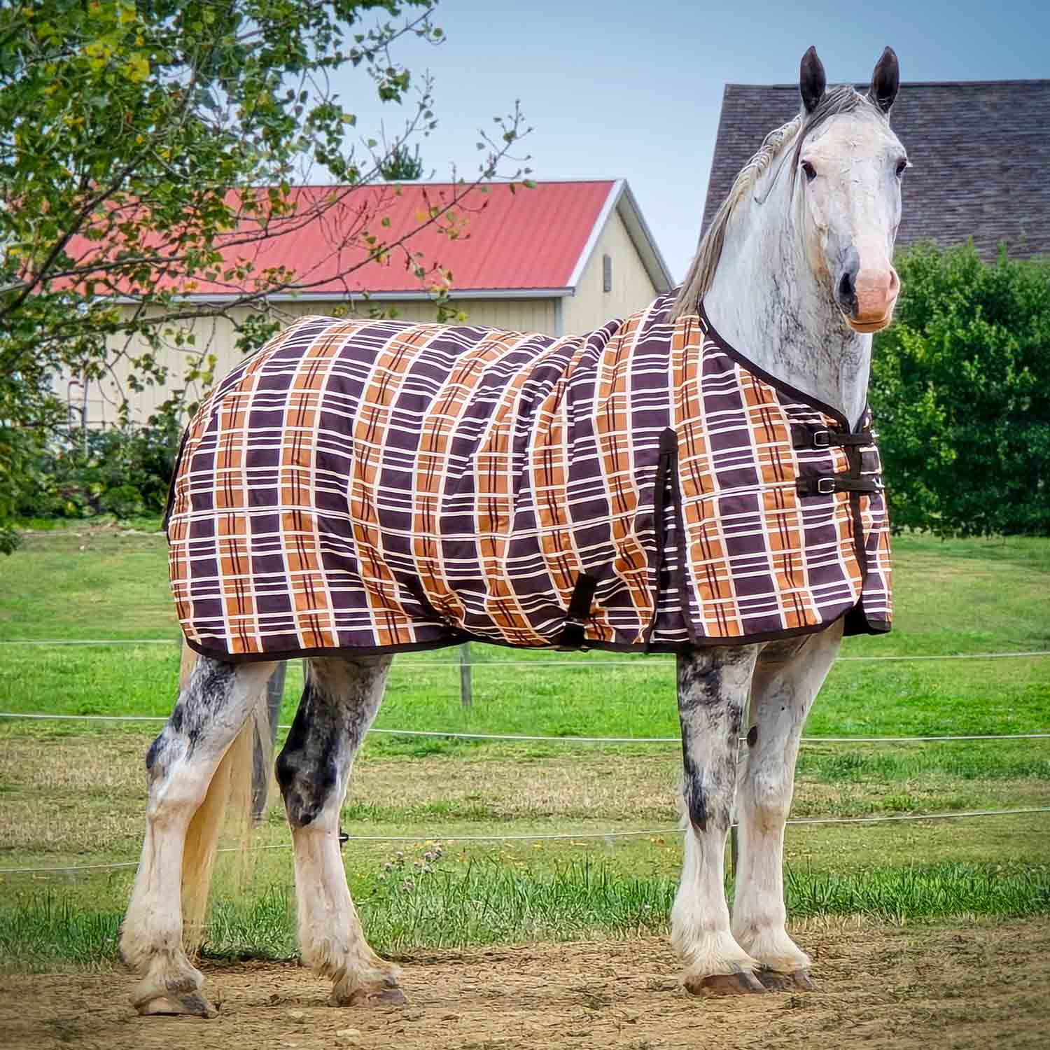 Solaris 1200 Denier Draft Horse Turnout Sheet, 0g Fill, Brown & Cream Plaid - Healthber