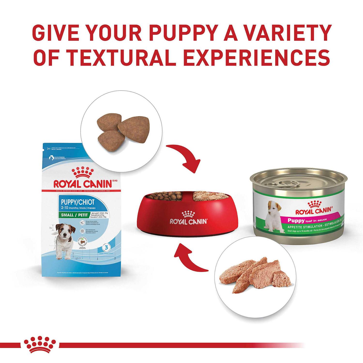 Royal Canin Size Health Nutrition Small Puppy Dry Dog Food - Healthber