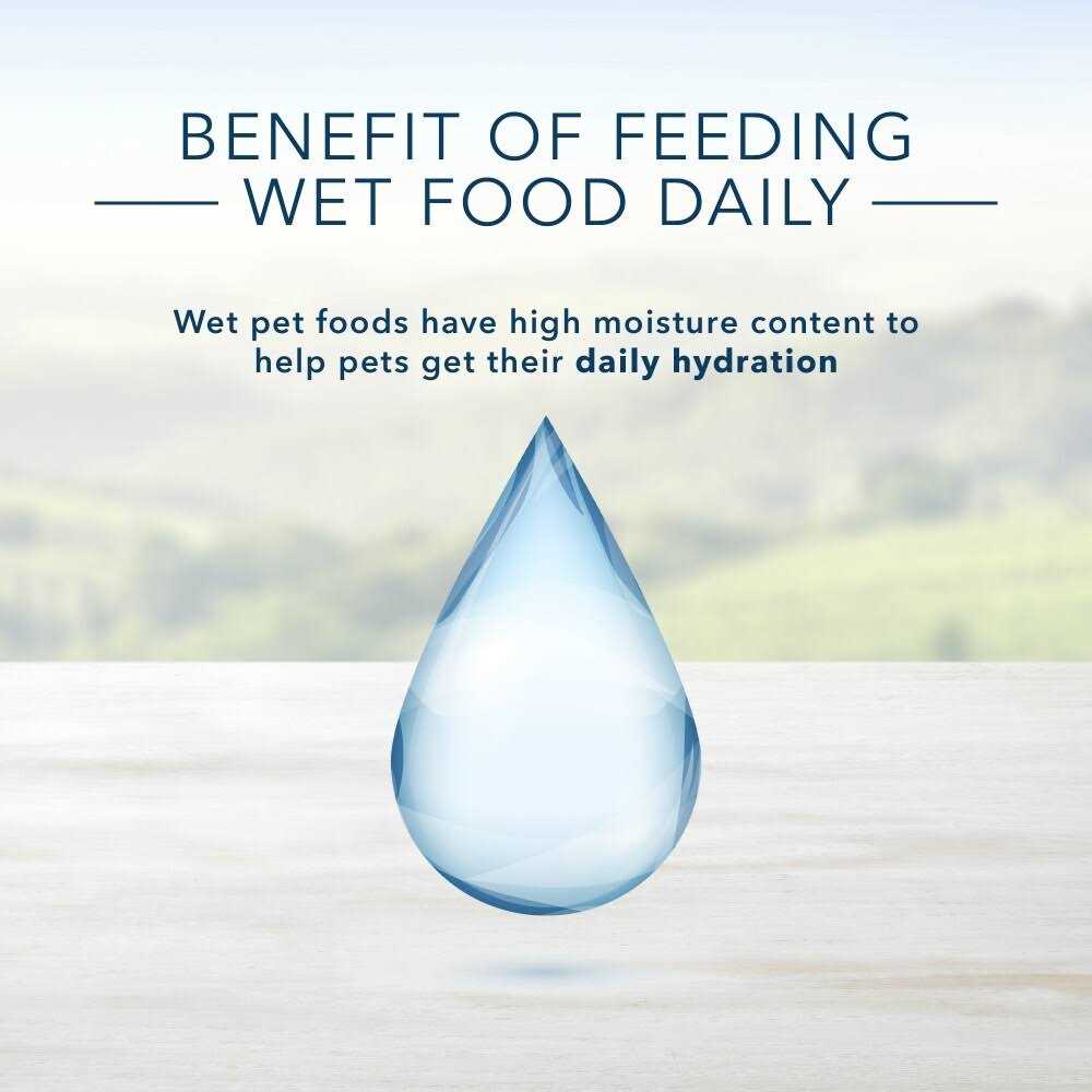 Blue Buffalo Blue’s Stew Dog Food - Healthber