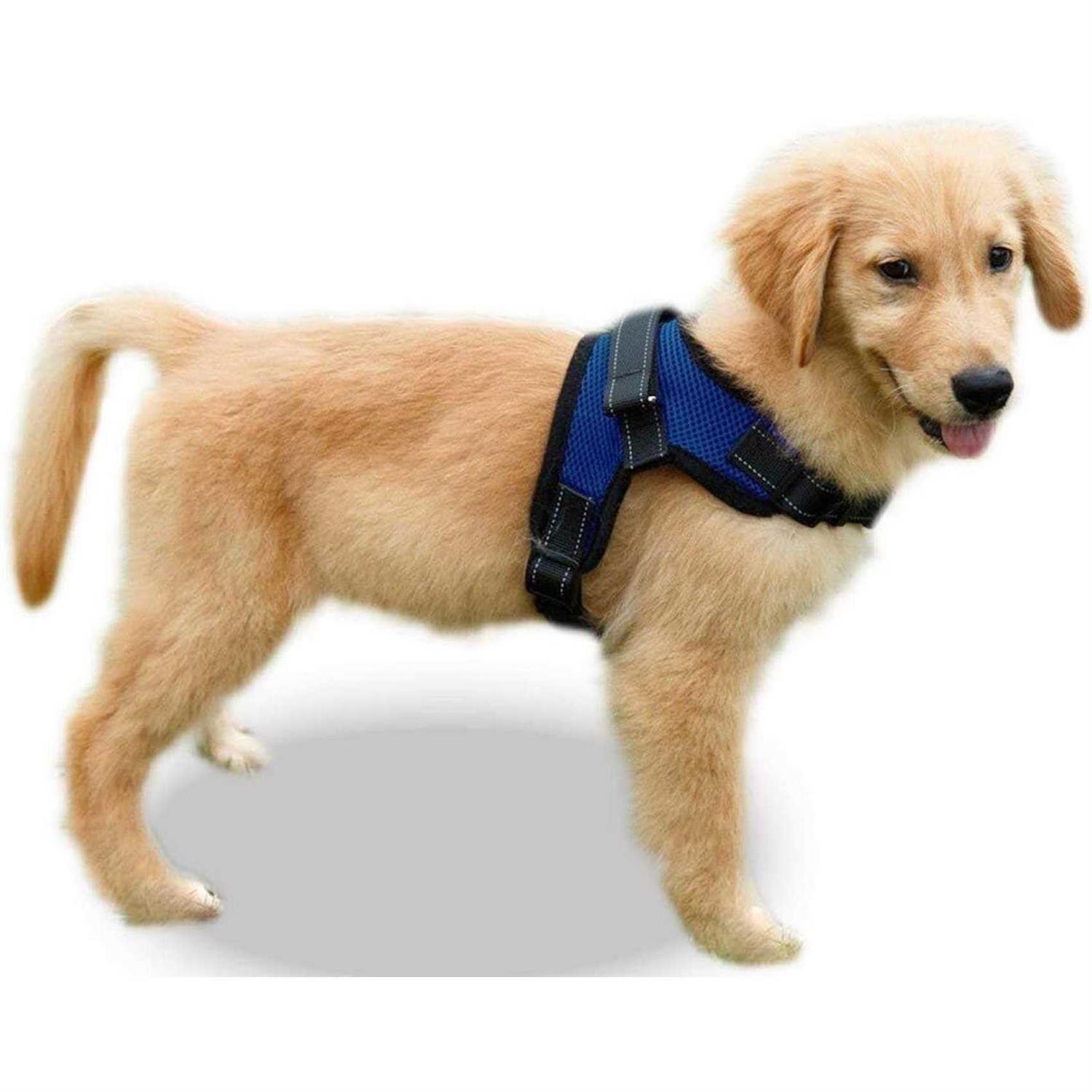 Copatchy No Pull Adjustable Reflective Dog Harness with Handle - Healthber
