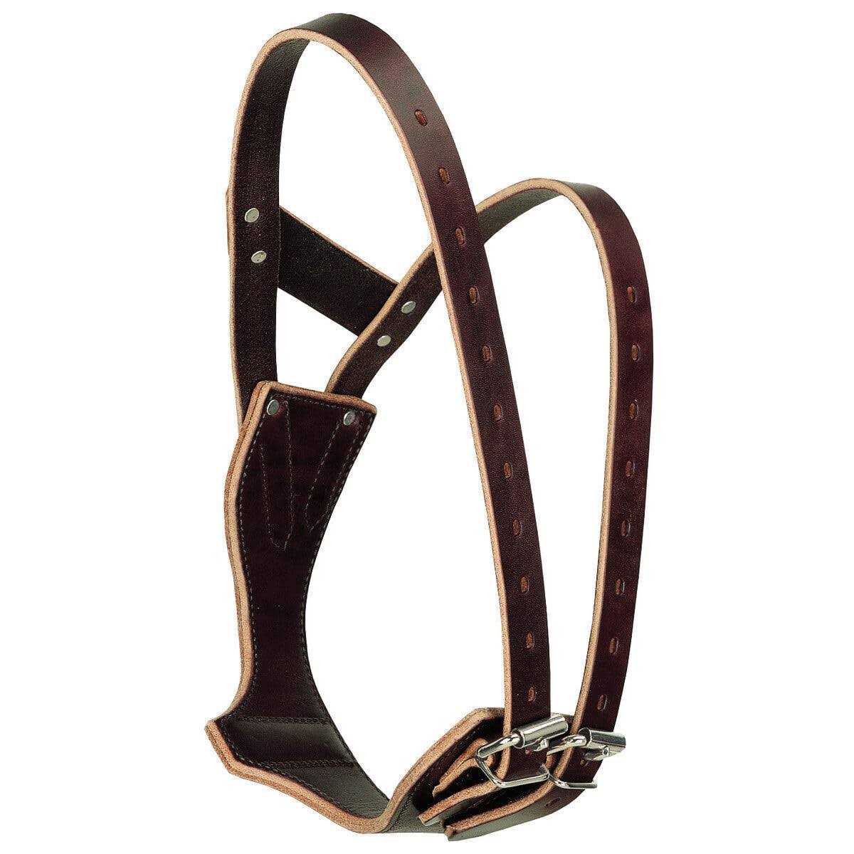 Weaver Leather Miracle Collar - Healthber