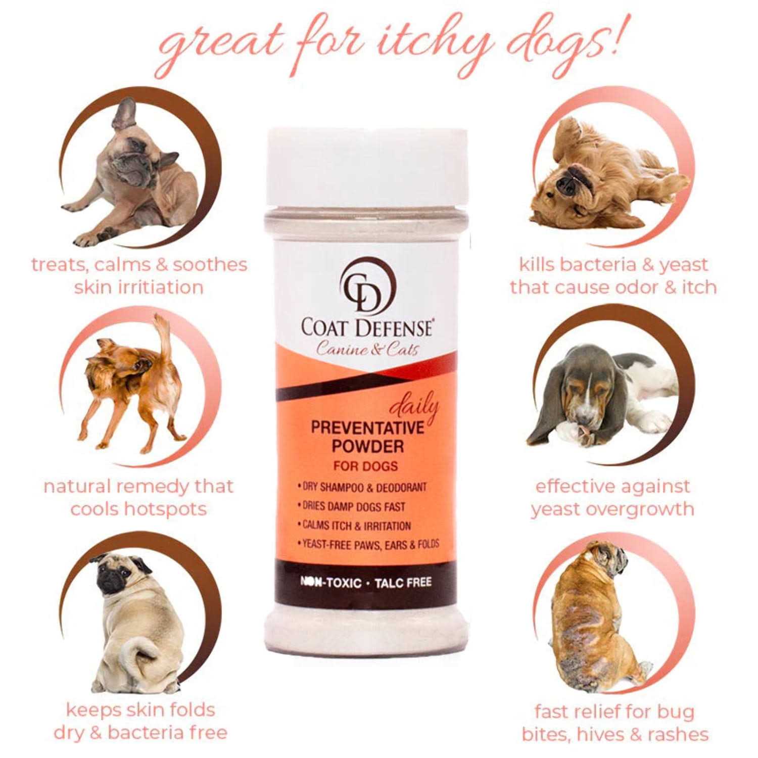 Coat Defense Canine & Cat Daily Preventative Powder - Healthber
