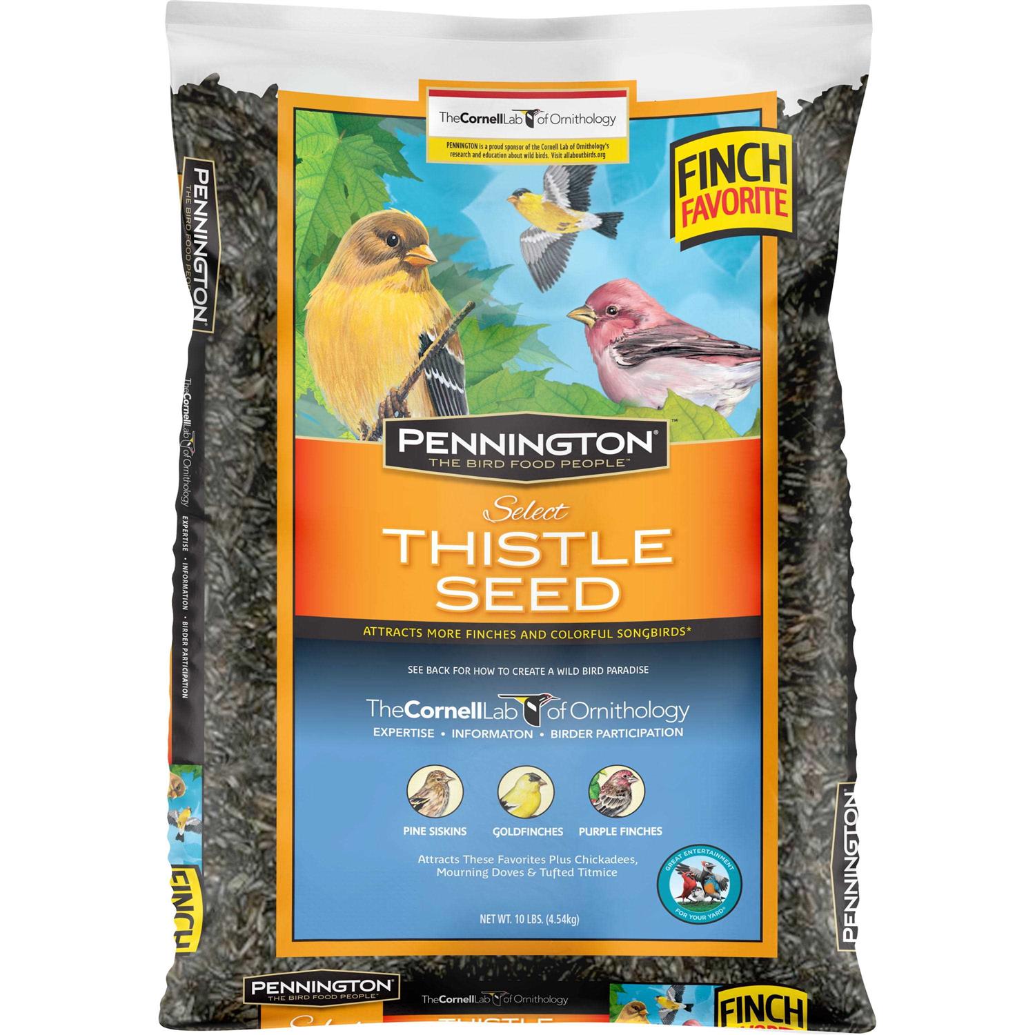 Pennington Select Thistle Seed - Healthber