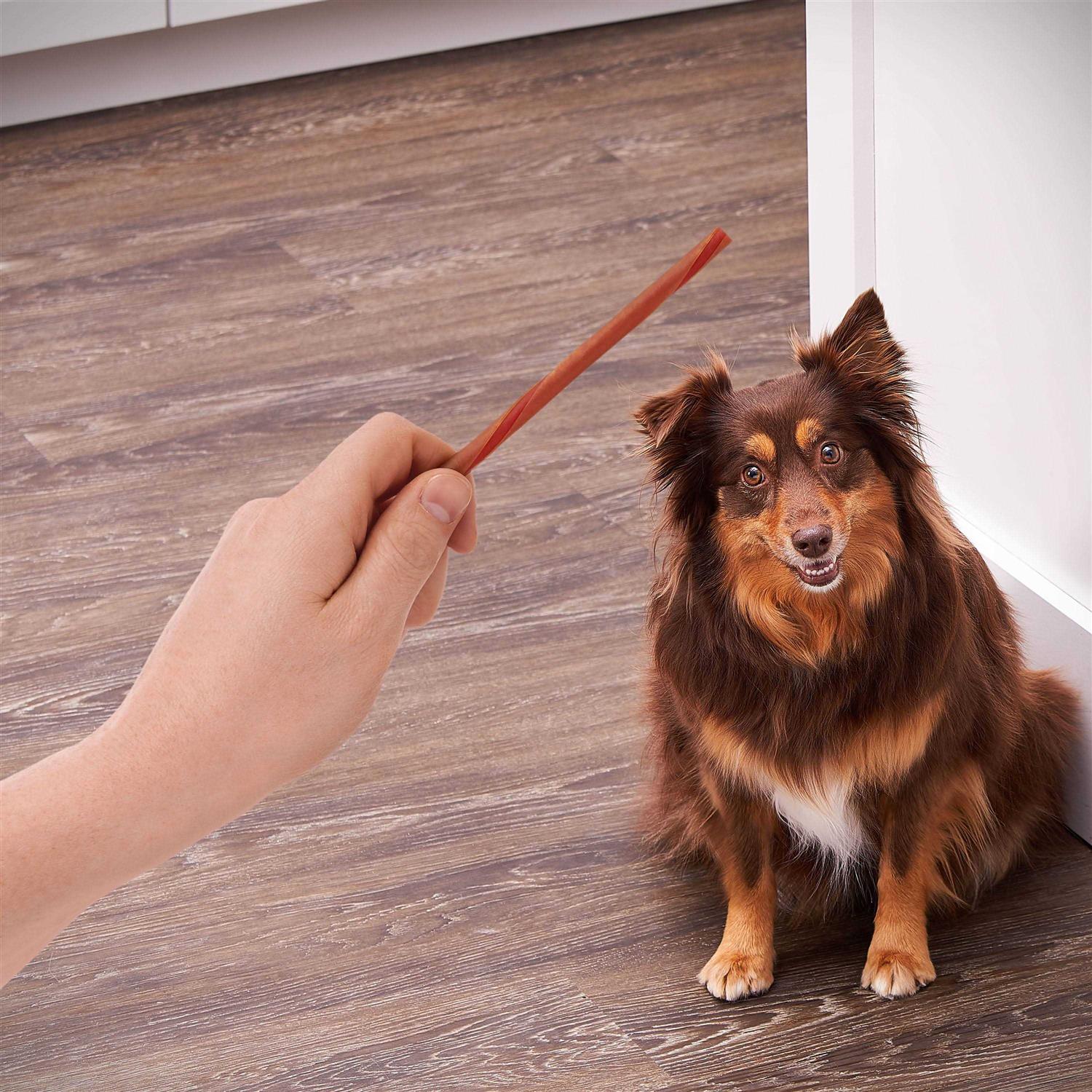 Ol’ Roy Rawhide Free Peanut Butter Twist Sticks for Dogs - Healthber