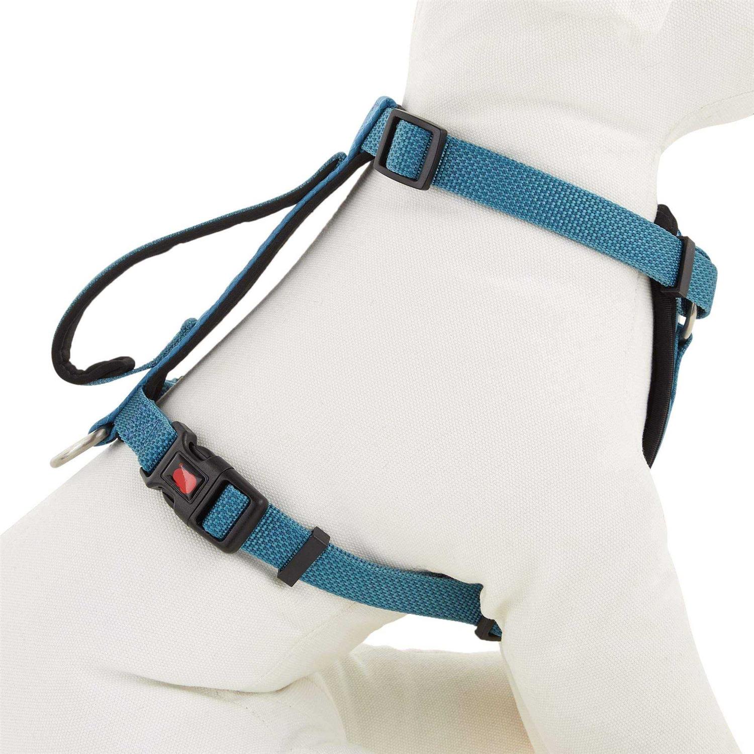 Kong Comfort Padded Chest Plate Dog Harness - Healthber