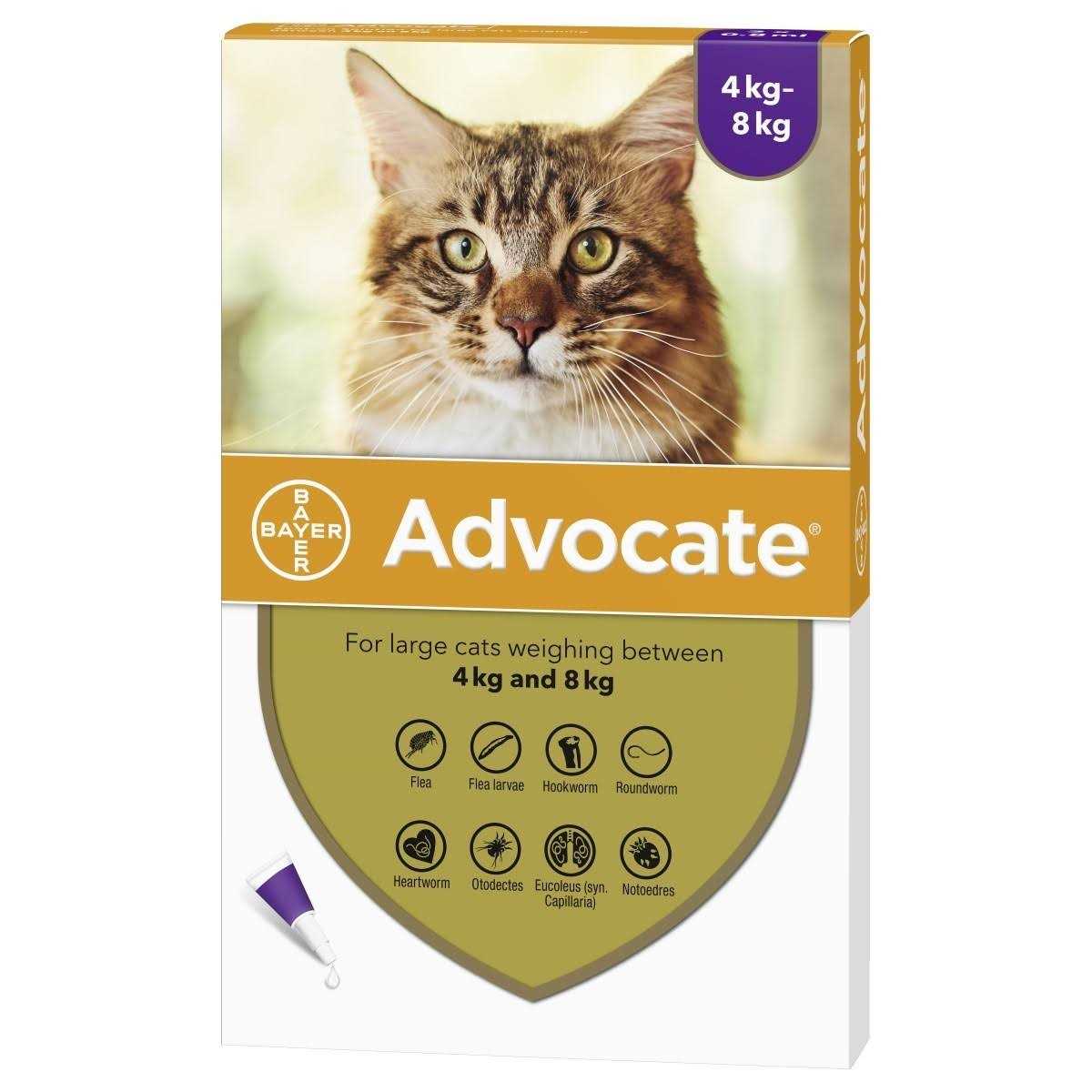 Advocate for Large Cat over 4kg - Healthber