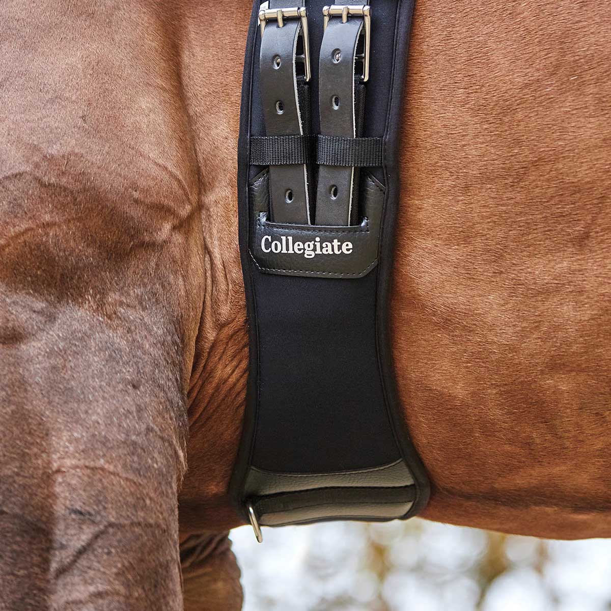 Collegiate Memory Foam Dressage Girth, Black - Healthber