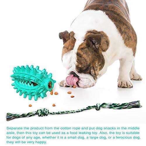 Hanamya Toothbrush Dog Chew Toy - Healthber