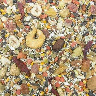 Higgins Sunburst Conure Food - Healthber