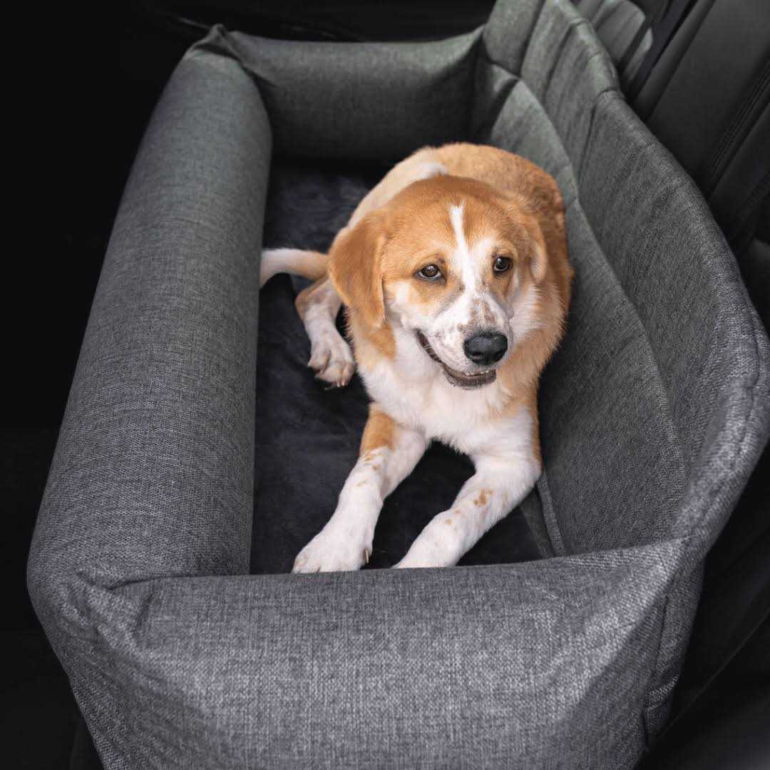 Paw PupProtector Memory Foam Dog Car Bed Gray Full Back Seat - Healthber