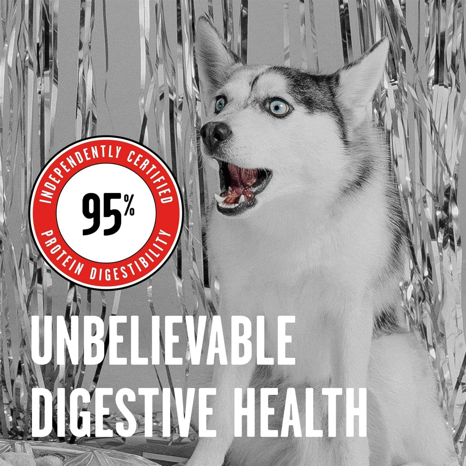 Bixbi Dog Food Rawbble Freeze Dried Beef - Healthber