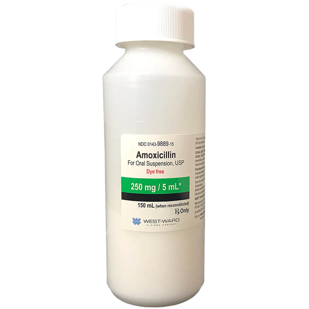 Rx Amoxicillin (Generic) Oral Suspension for Dogs & Cats - Healthber
