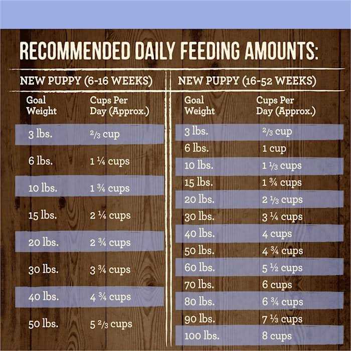 Merrick Grain Free Real Beef & Sweet Potato Puppy Recipe Dry Dog Food - Healthber