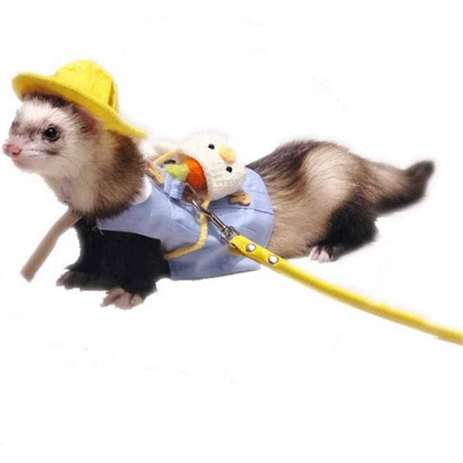 HAICHEN TEC Ferret Clothes Set Small Animal Harness and Leash Adjustable Chest Straps Ferret Apparel Outdoor Walking Accessories Outfit Halloween Party Cosplay - Healthber