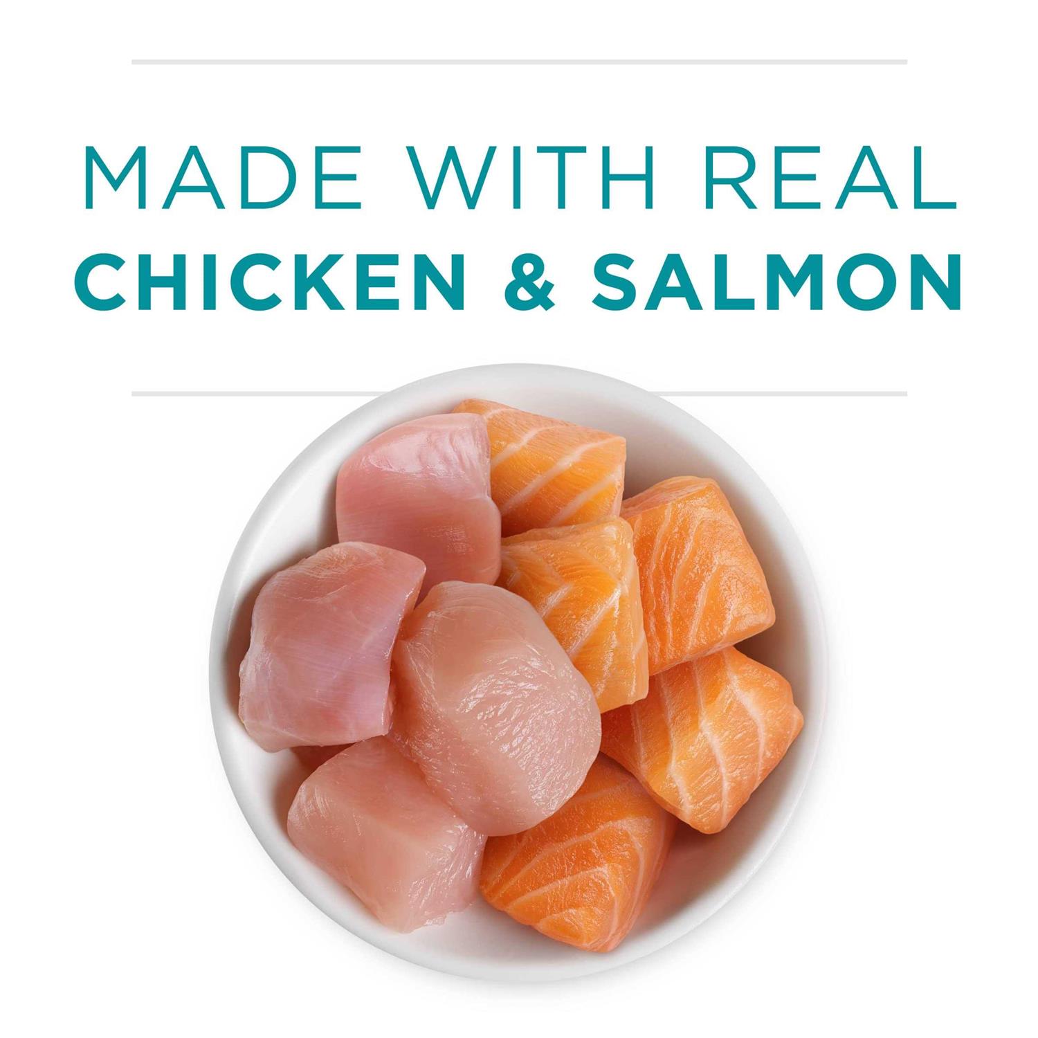 Purina ONE Healthy Kitten Grain Free Chicken & Salmon Pate Wet Cat Food - Healthber