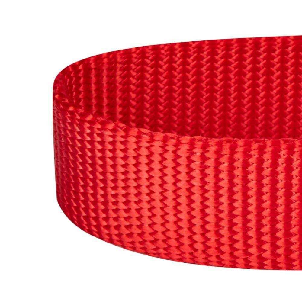 Blueberry Pet Classic Dog Collar - Healthber