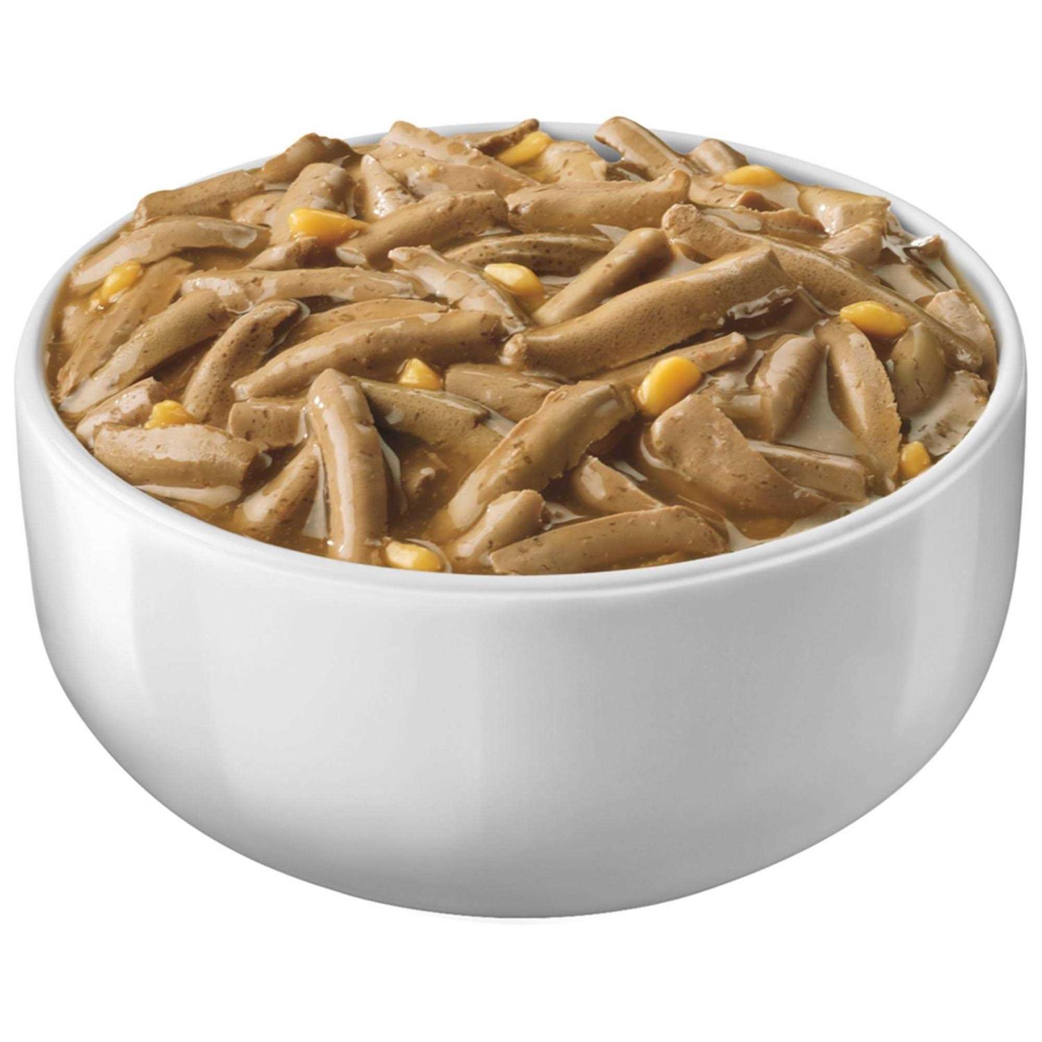 Purina Friskies Savory Shreds Wet Cat Food - Healthber
