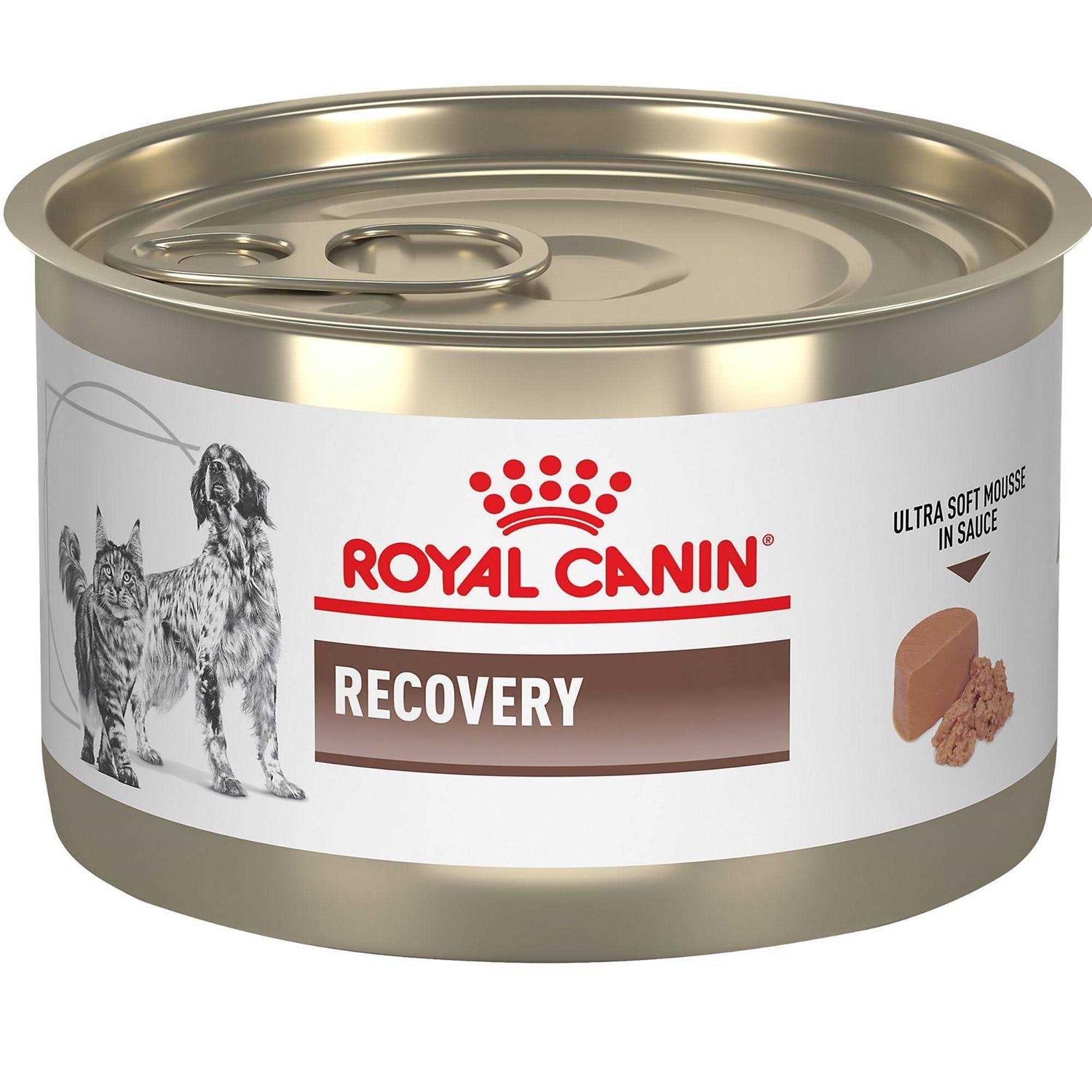 Royal Canin Veterinary Diet Feline and Canine Recovery Ultra Soft Mousse in Sauce Cat and Dog Food - Healthber