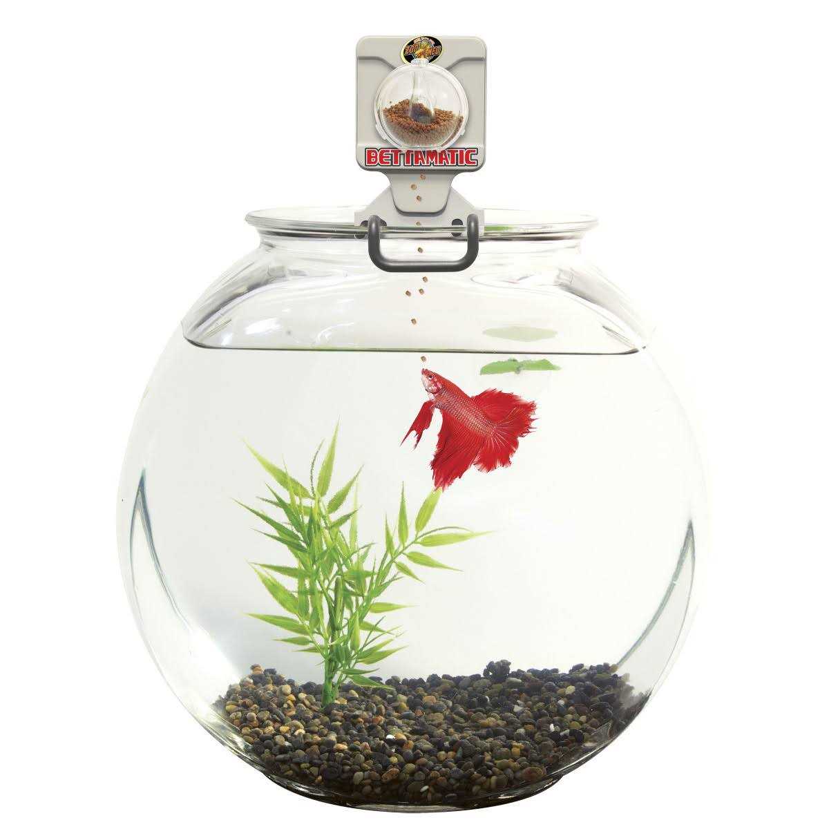 Zoo Med Bettamatic Automatic Daily Betta Feeder - Healthber