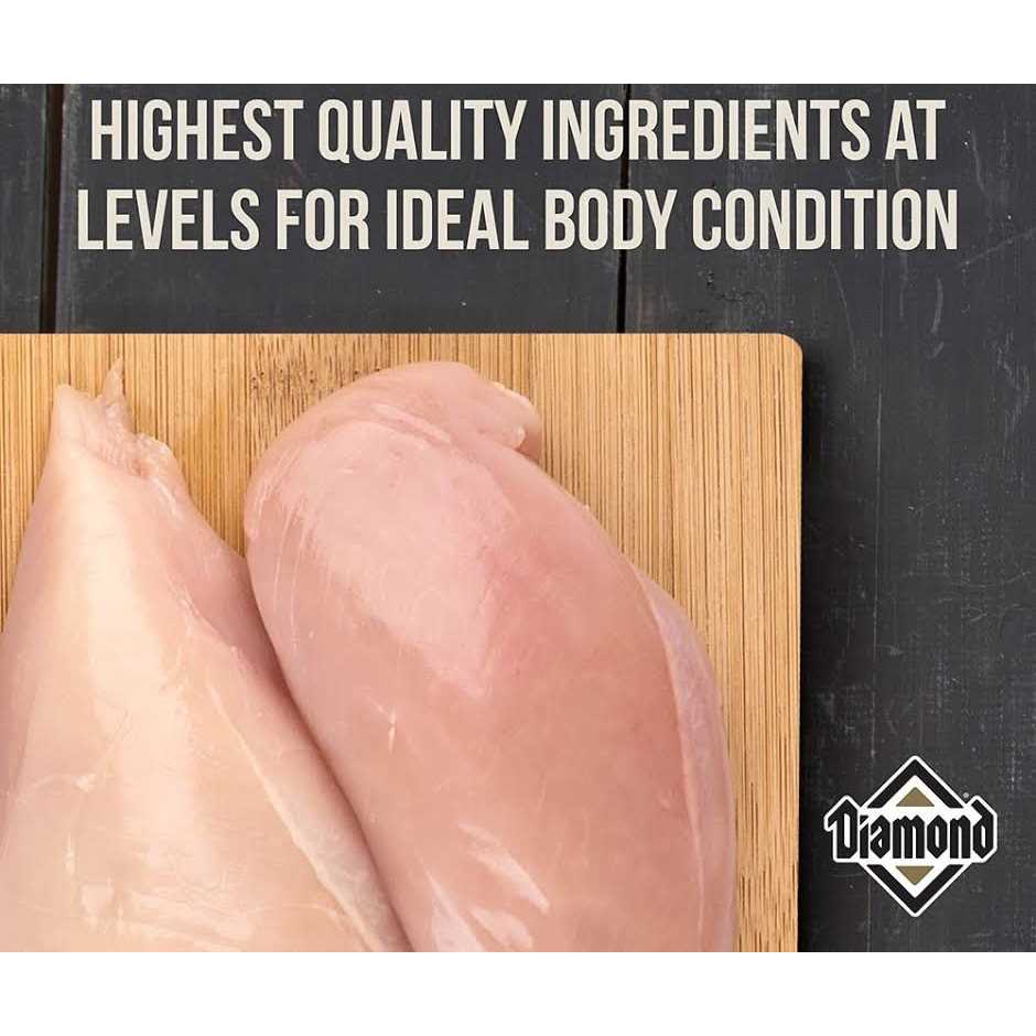 Diamond Maintenance Dry Cat Food - Healthber