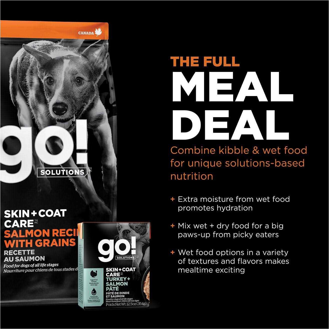 Go! Solutions Skin + Coat Care Salmon Recipe Dry Dog Food - Healthber