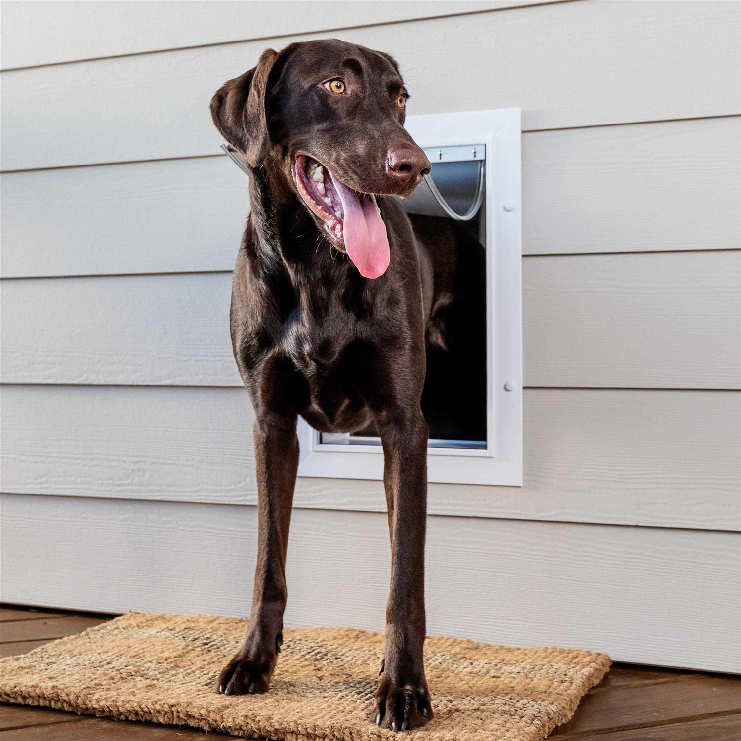 PetSafe Wall Entry Pet Door - Healthber