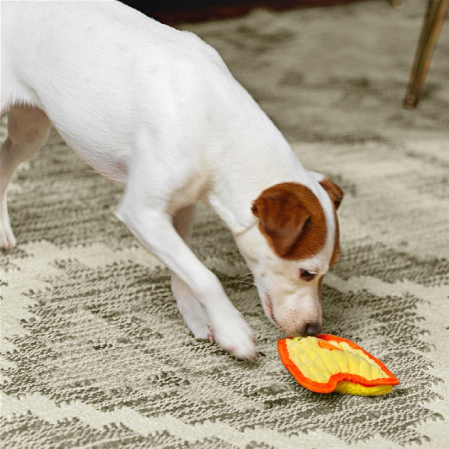 Outward Hound Invincibles Chicky Dog Toy - Healthber