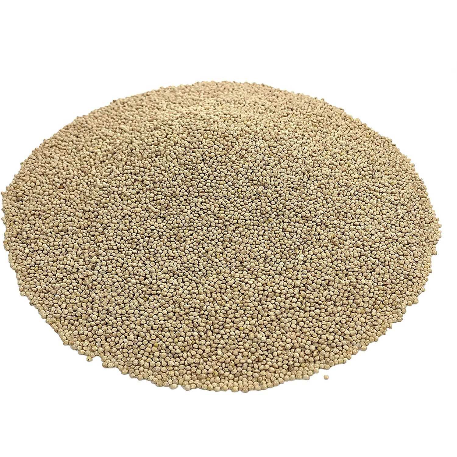 KAYSO INC Premium White Proso Millet Bird Seed Feed,10lbs Bulk Bag - Healthber