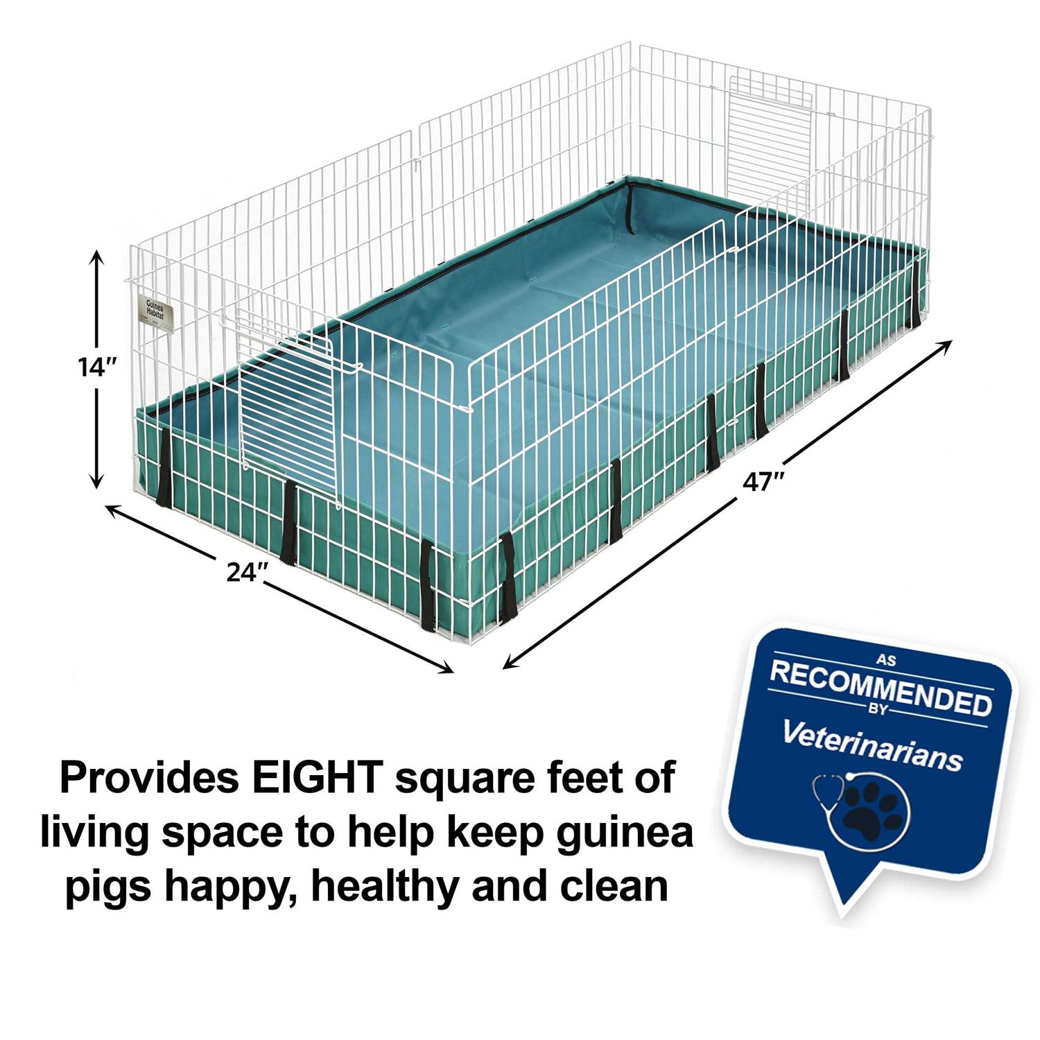 Guinea Habitat Guinea Pig MidWest - Healthber