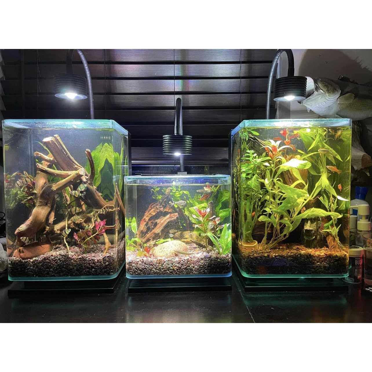 Lominie LED Aquarium Light Planted Tank Light 4 Channels Remote Control 6500k Aquarium LED Light for Freshwater Fish Tank Refugium with Gooseneck - Healthber