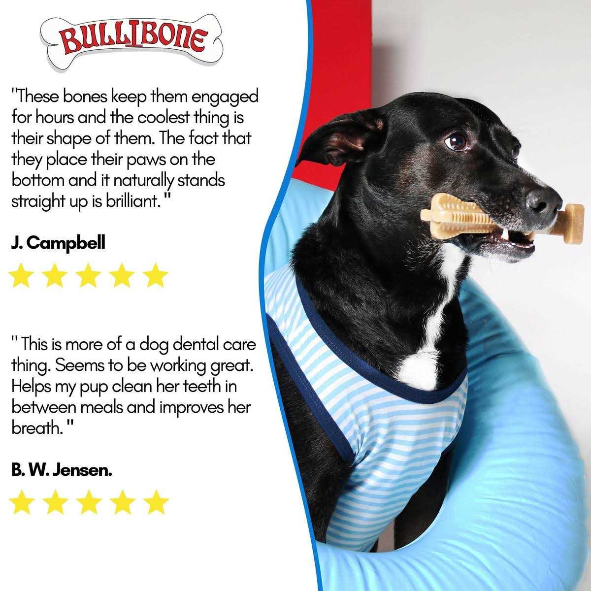 Bullibone SuperBrush Dog Teeth Cleaning Brushing Toothbrush Stick Long Lasting Nylon Chew Toy for Oral Care - Healthber