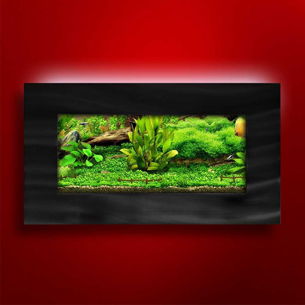 Aussie Aquariums 2.0 Wall Mounted Aquarium – View Brushed Black, Size: Up to 10 Gallons - Healthber