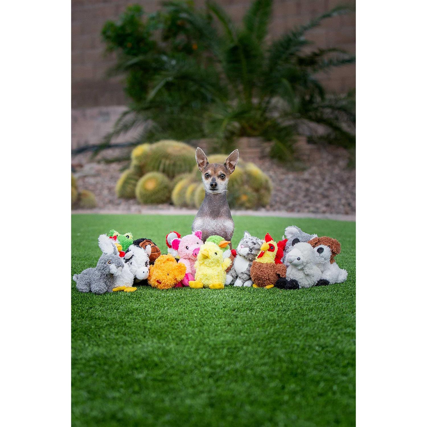 Multipet Look Who’s Talking Chicken Dog Toy - Healthber