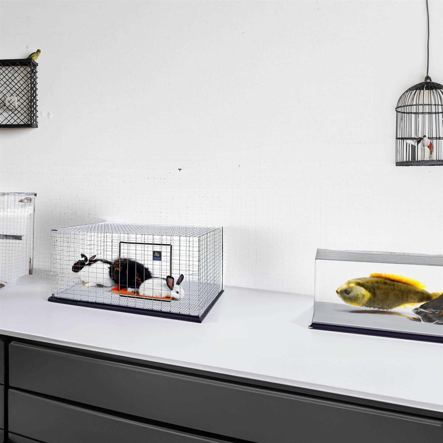 Pet Lodge Rabbit Hutch - Healthber