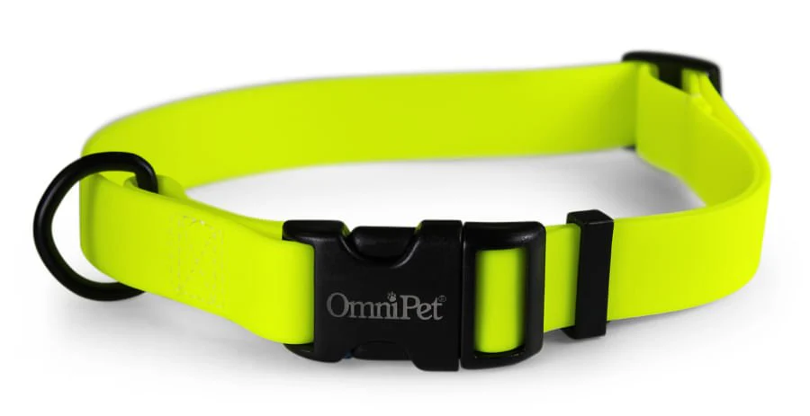 Carnival Collars - Healthber