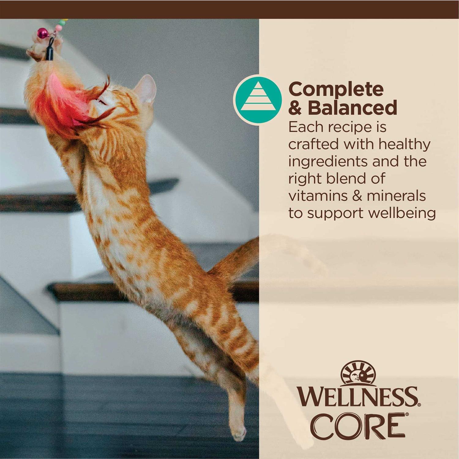 Wellness Core Tiny Tasters Flaked Wet Cat Food - Healthber