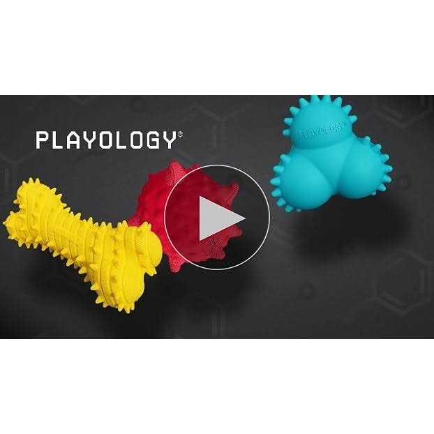 Playology Puppy Sensory Ball Dog Toy - Healthber