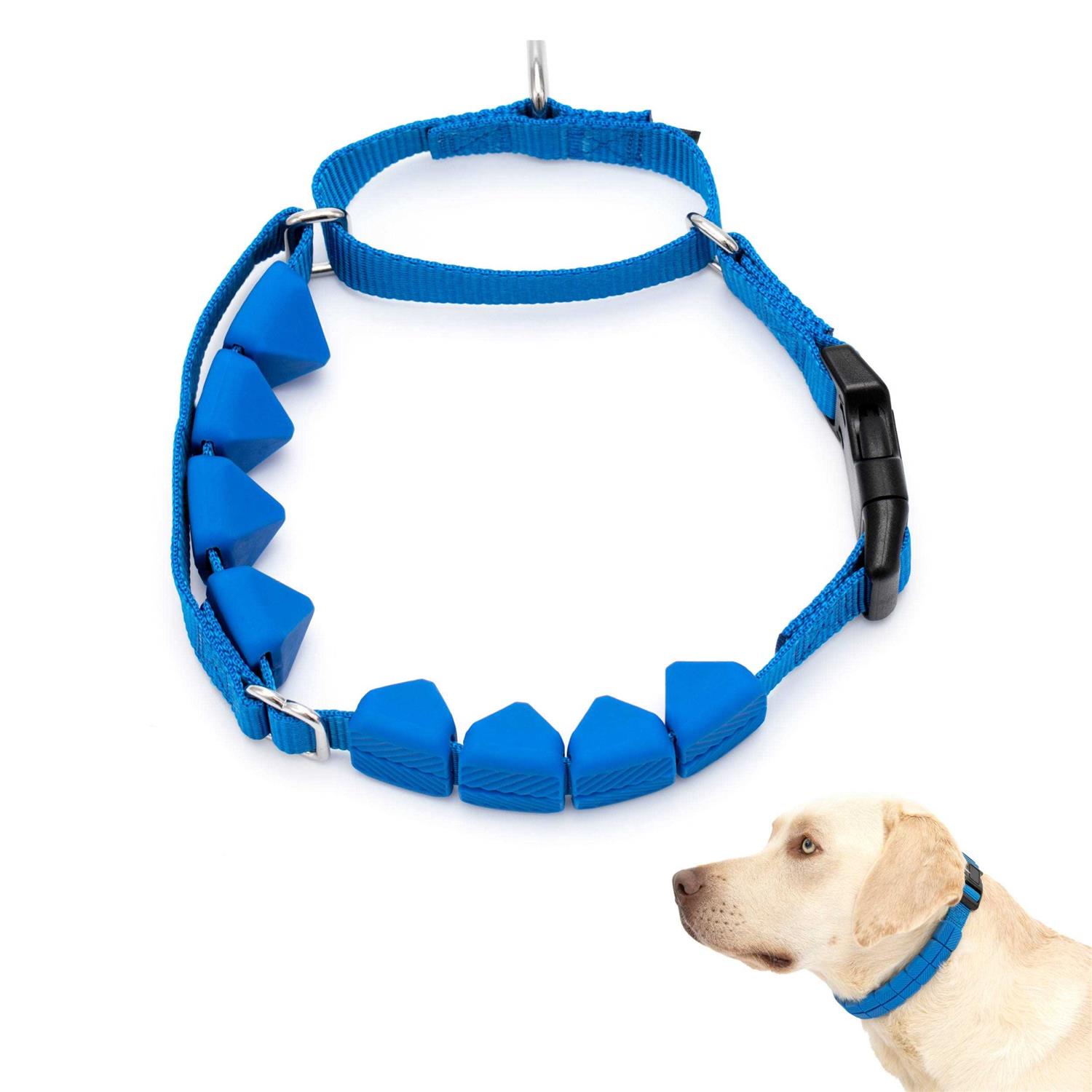 PetSafe Soft Point Training Collar - Healthber